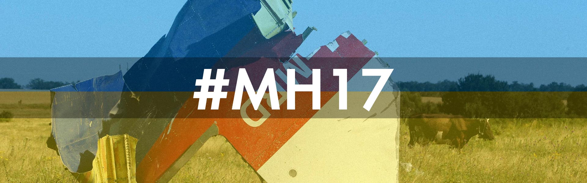 MH17. Хроники горящей шапки.